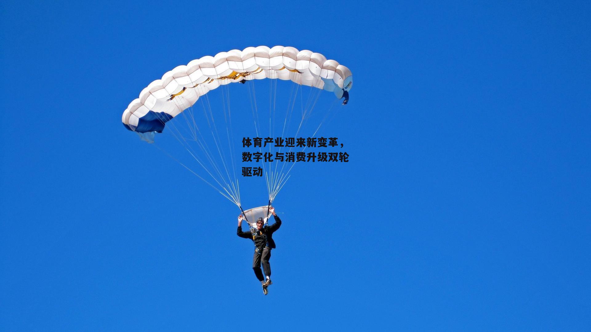 体育产业迎来新变革，数字化与消费升级双轮驱动